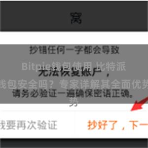 Bitpie钱包使用 比特派钱包安全吗？专家详解其全面优势