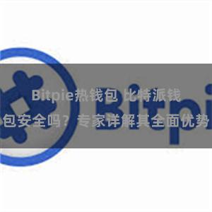 Bitpie热钱包 比特派钱包安全吗？专家详解其全面优势