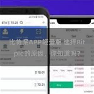 比特派APP轻量版 选择Bitpie的原因，你知道吗？