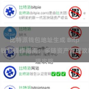 比特派钱包地址生成 Bitpie钱包操作指南：多链资产管理攻略