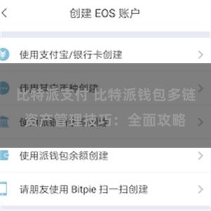 比特派支付 比特派钱包多链资产管理技巧：全面攻略