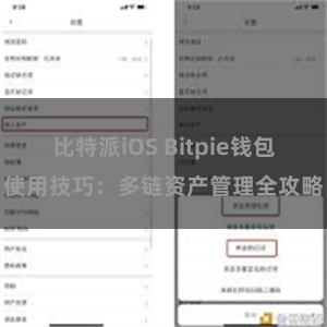 比特派iOS Bitpie钱包使用技巧：多链资产管理全攻略