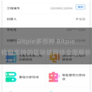 Bitpie多币种 Bitpie钱包支持的区块链网络全面解析