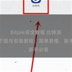 Bitpie安全教程 比特派钱包下载与安装教程：简单易懂，新手必看