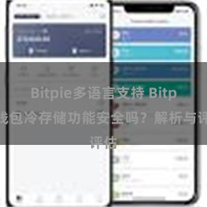 Bitpie多语言支持 Bitpie钱包冷存储功能安全吗？解析与评估