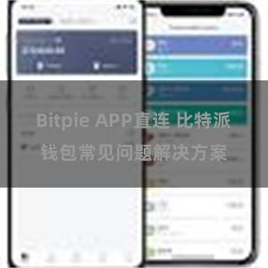 Bitpie APP直连 比特派钱包常见问题解决方案