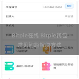 Bitpie在线 Bitpie钱包常见问题解决方法