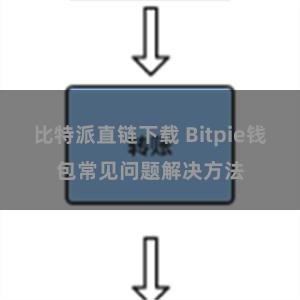 比特派直链下载 Bitpie钱包常见问题解决方法