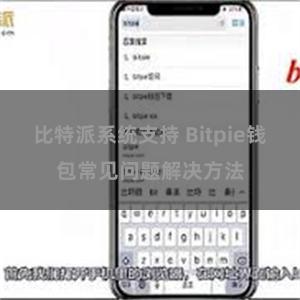 比特派系统支持 Bitpie钱包常见问题解决方法