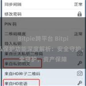 Bitpie跨平台 Bitpie钱包隐私保护功能深度解析：安全守护，资产保障