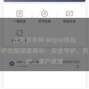 比特派币种 Bitpie钱包隐私保护功能深度解析：安全守护，资产保障