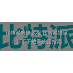 比特派转账教程 比特派钱包：新手下载及使用指南