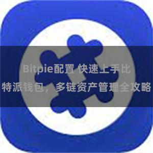 Bitpie配置 快速上手比特派钱包，多链资产管理全攻略