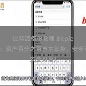 比特派备份教程 Bitpie钱包：资产百分之百自主掌控，安全可靠！