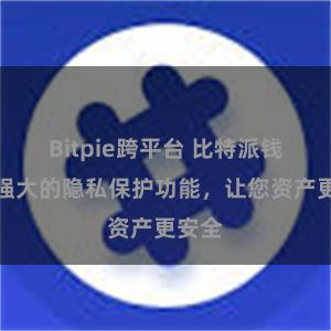 Bitpie跨平台 比特派钱包：强大的隐私保护功能，让您资产更安全