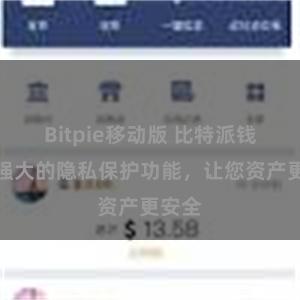 Bitpie移动版 比特派钱包：强大的隐私保护功能，让您资产更安全