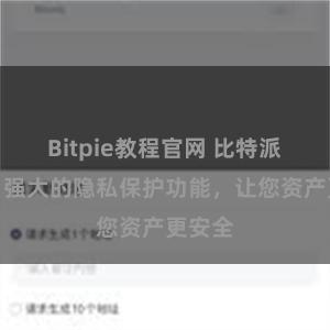 Bitpie教程官网 比特派钱包：强大的隐私保护功能，让您资产更安全