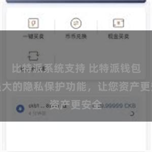 比特派系统支持 比特派钱包：强大的隐私保护功能，让您资产更安全