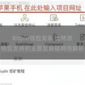 Bitpie钱包安装 比特派钱包支持的主要区块链网络解析