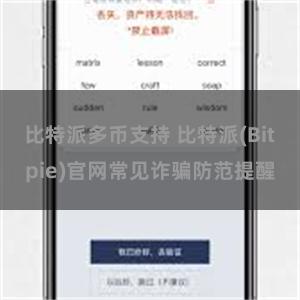 比特派多币支持 比特派(Bitpie)官网常见诈骗防范提醒