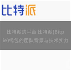 比特派跨平台 比特派(Bitpie)钱包的团队背景与技术实力