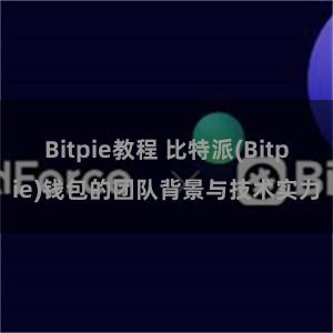 Bitpie教程 比特派(Bitpie)钱包的团队背景与技术实力